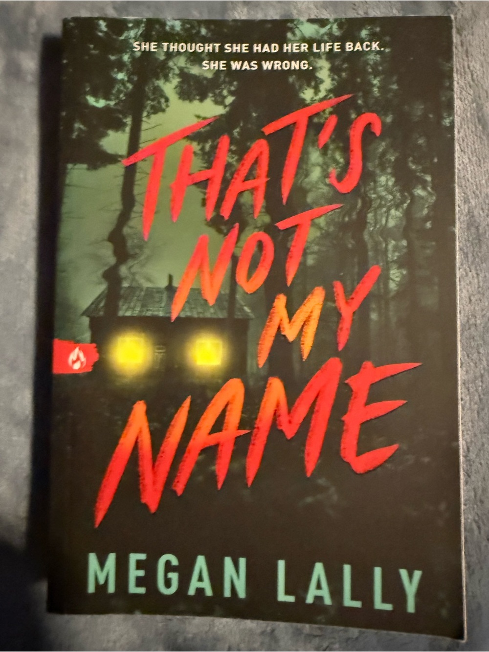 📚4 for $15//MEGAN LALLY~Lg Paperback Thriller!